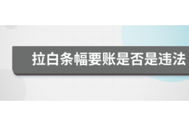 周口为什么选择专业追讨公司来处理您的债务纠纷？